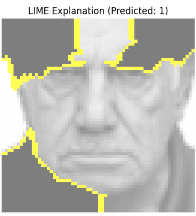 Evaluation output from the facial recognition auditing framework.
